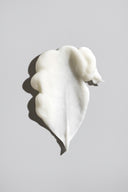 Signature Conditioner